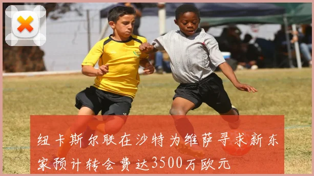 纽卡斯尔联在沙特为维萨寻求新东家预计转会费达3500万欧元