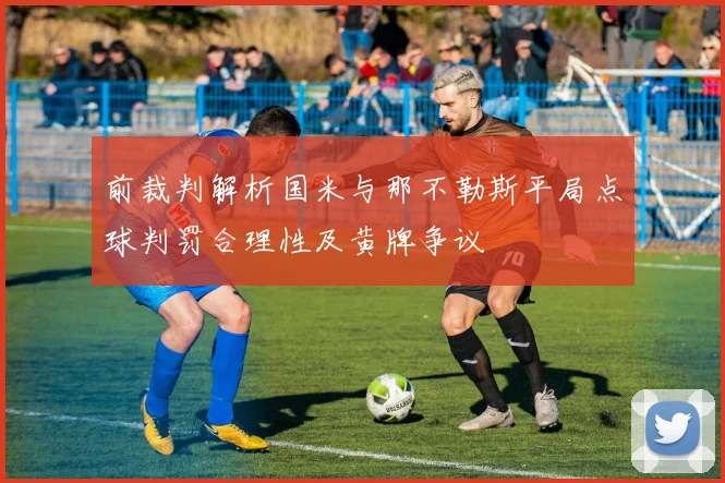 前裁判解析国米与那不勒斯平局点球判罚合理性及黄牌争议